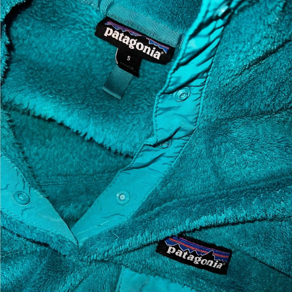 Patagonia! - Picture 7 of 7